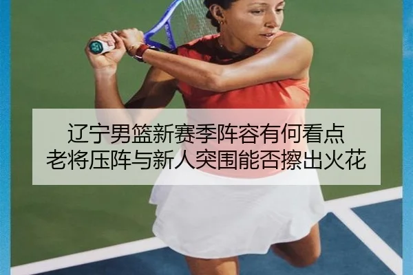 辽宁男篮新赛季阵容有何看点 老将压阵与新人突围能否擦出火花 | lejingsports